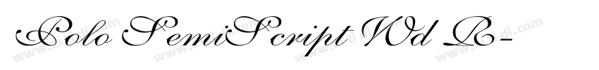 Polo SemiScript Wd R字体转换